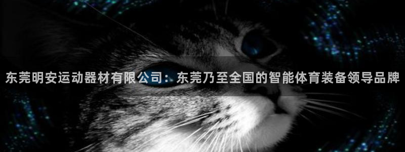 凯捷体育平台APP