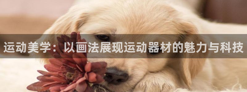 凯捷体育娱乐：运动美学：以画法展现运动器材的魅力与科技