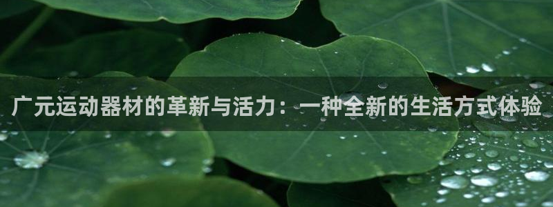 凯捷体育招商电话地址：广元运动器材的革新与活力：一种