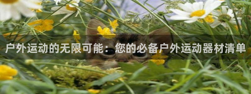 凯捷体育招商电话号码是多少号