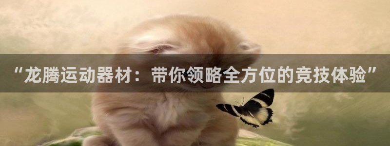 注册凯捷体育：“龙腾运动器材：带你领略全方位的竞技体