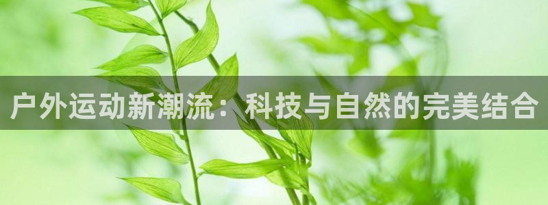 凯捷体育娱乐