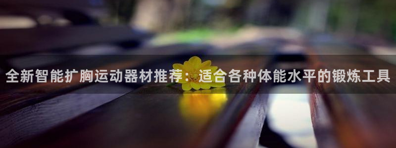 凯捷体育集团官网首页：全新智能扩胸运动器材推荐：适合各种体能