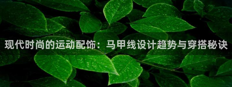 凯捷体育招商电话号码查询是多少：现代时尚的运动配饰：马甲线设