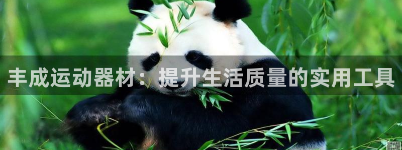 凯捷体育官网