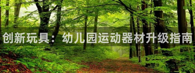 凯捷体育娱乐代理怎么样：创新玩具：幼儿园运动器材升级指南