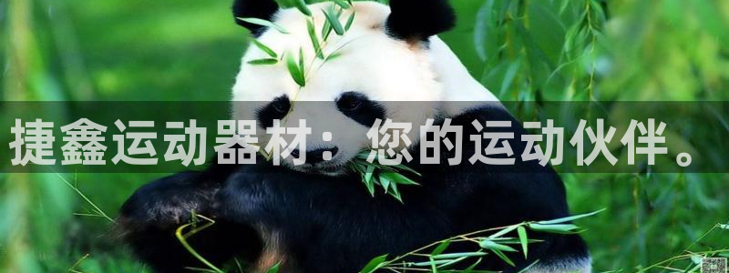 凯捷体育招商电话是多少号码