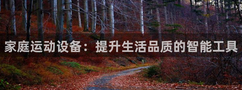 凯捷体育平台是正规平台吗：家庭运动设备：提升生活品质