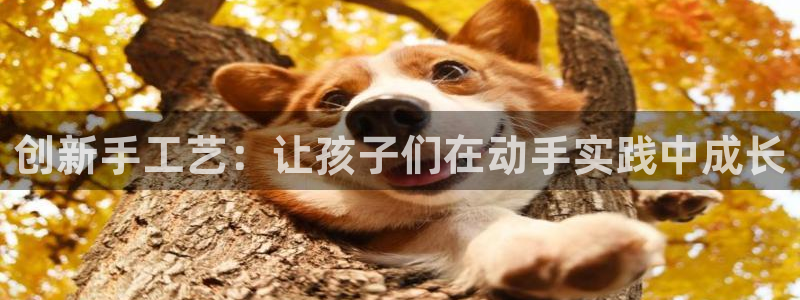 凯捷体育娱乐是那个系列的台子：创新手工艺：让孩子们在