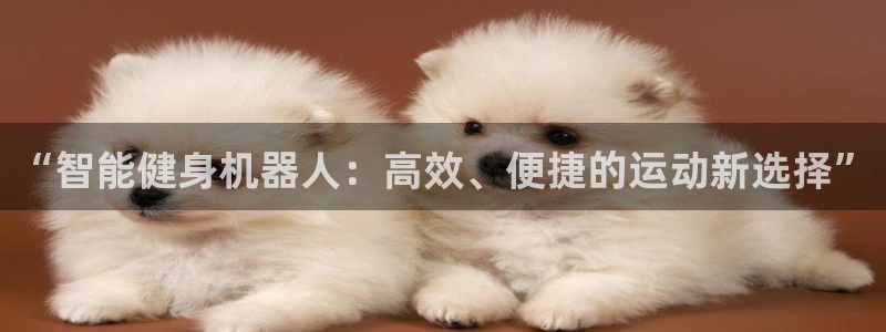 凯捷体育平台注册要钱吗：“智能健身机器人：高效、便捷的运动新