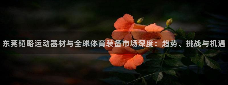 凯捷体育招商电话号码是多少号：东莞韬略运动器材与全球体育装备