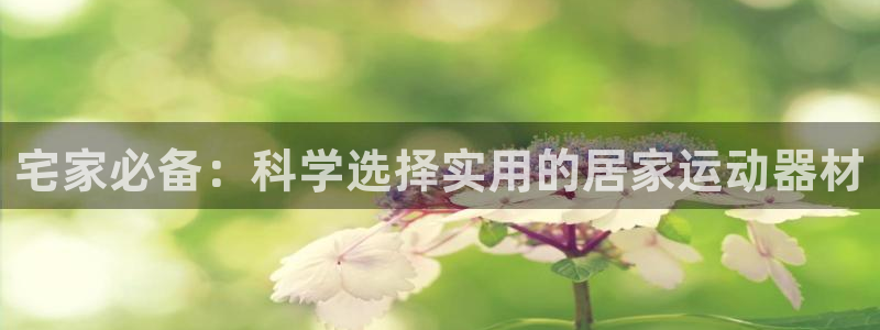 凯捷体育