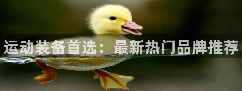 凯捷体育娱乐40996：运动装备首选：最新热门品牌推荐