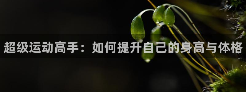 凯捷体育招商：超级运动高手：如何提升自己的身高与体格