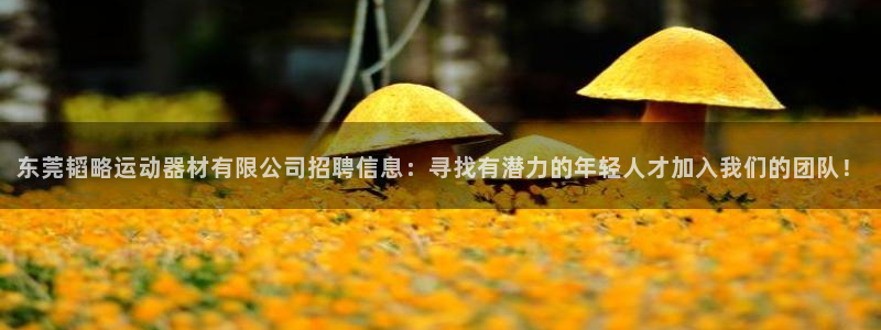 凯捷体育招商电话地址是多少：东莞韬略运动器材有限公司