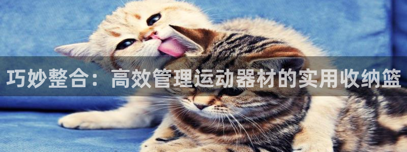 凯捷体育娱乐平台：巧妙整合：高效管理运动器材的实用收