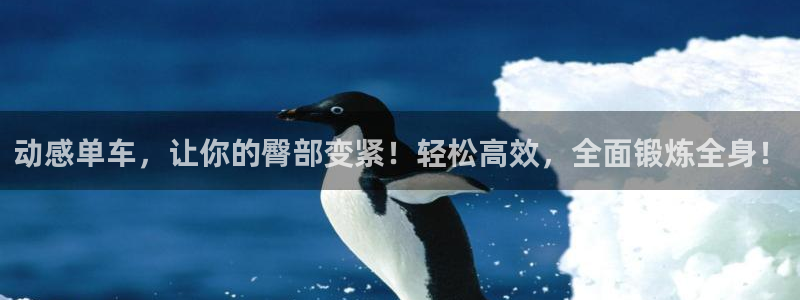 凯捷体育招商电话是多少