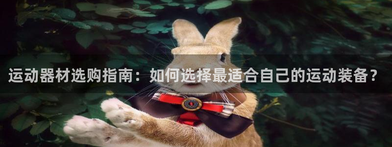 凯捷体育是干嘛的公司：运动器材选购指南：如何选择最适
