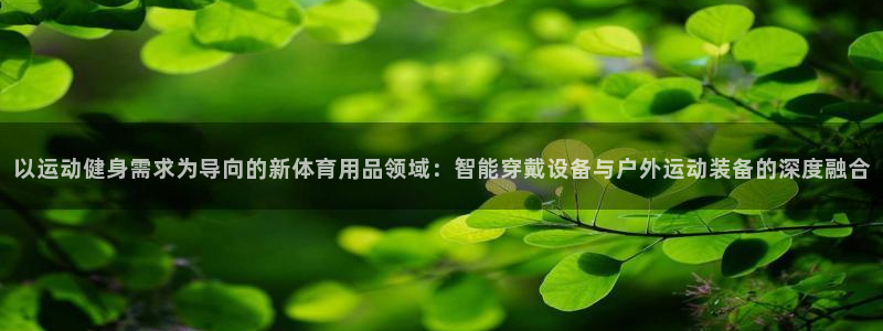 凯捷体育娱乐40996：以运动健身需求为导向的新体育