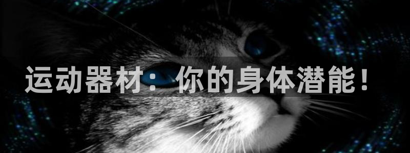 凯捷体育新能源：运动器材：你的身体潜能！