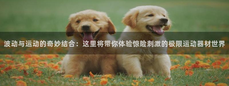 凯捷体育招商电话是多少