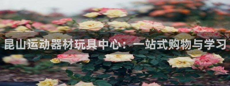 凯捷体育代理：昆山运动器材玩具中心：一站式购物与学习