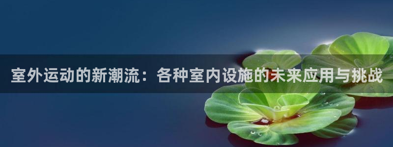 凯捷体育集团logo：室外运动的新潮流：各种室内设施的未来应