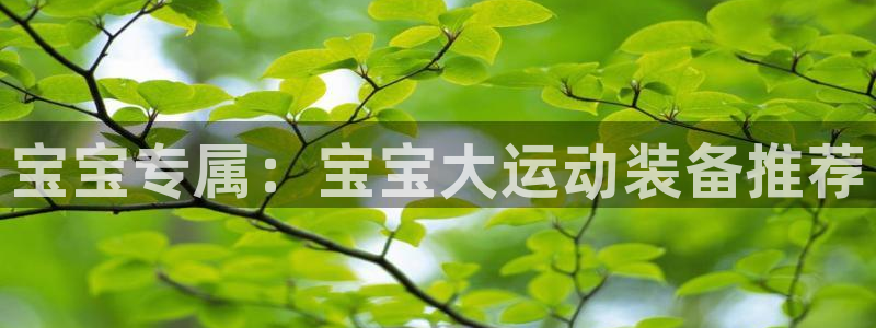 凯捷体育招商电话号码查询：宝宝专属：宝宝大运动装备推荐