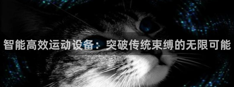 凯捷体育神州