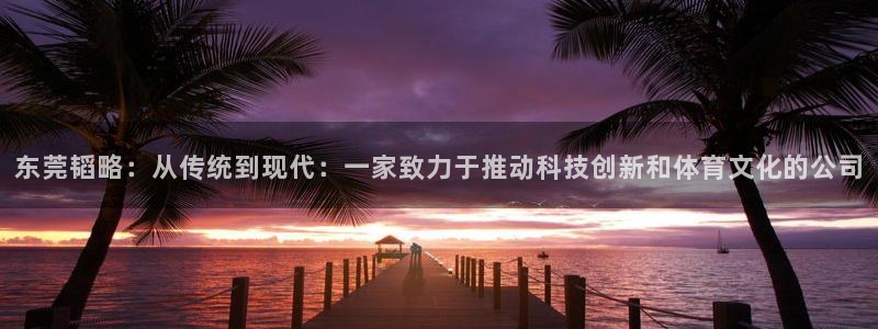 凯捷体育集团官网首页：东莞韬略：从传统到现代：一家致力于推动