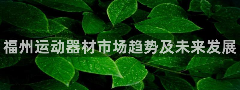凯捷体育平台注册要钱吗：福州运动器材市场趋势及未来发