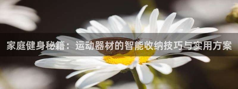 凯捷体育招商电话号码是多少啊：家庭健身秘籍：运动器材的智能收