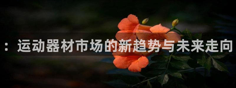 凯捷体育招商电话号码是多少号：：运动器材市场的新趋势