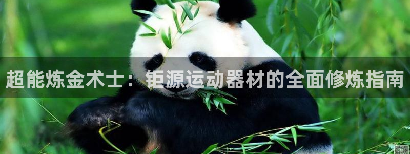 凯捷体育招商电话号码是多少：超能炼金术士：钜源运动器