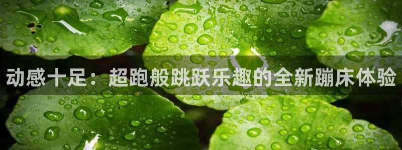 凯捷体育娱乐：动感十足：超跑般跳跃乐趣的全新蹦床体验