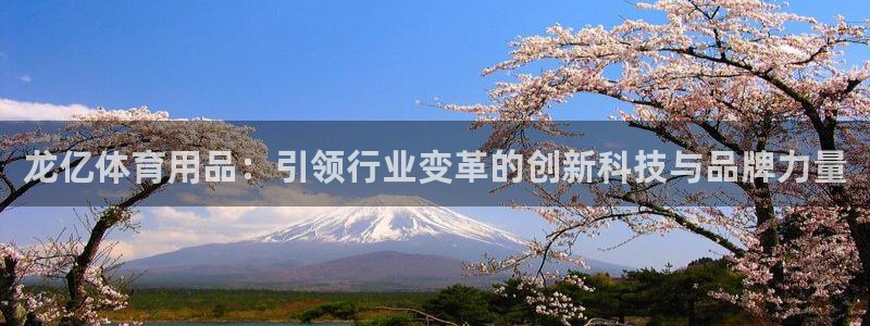 意昂平台体育：龙亿体育用品：引领行业变革的创新科技与品牌力量