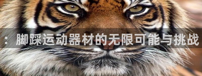 凯捷体育集团简介