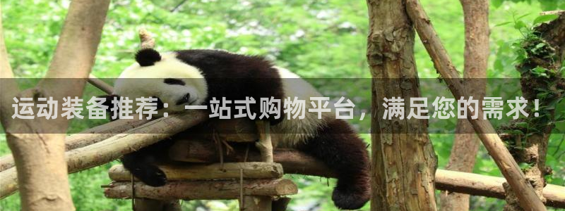 凯捷体育招商电话号码是多少