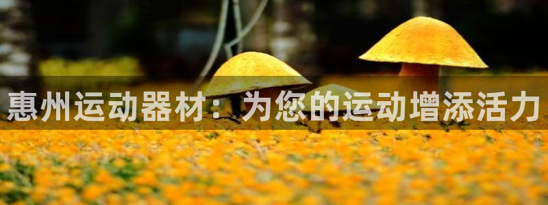 凯捷体育娱乐代理怎么样