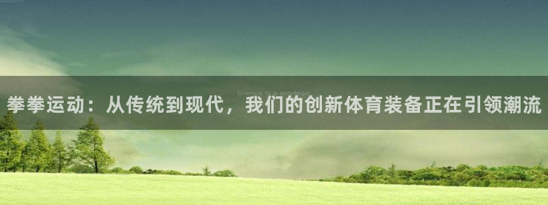 凯捷体育娱乐：拳拳运动：从传统到现代，我们的创新体育装备正在