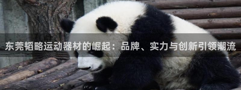 凯捷体育平台假的吗是真的吗吗