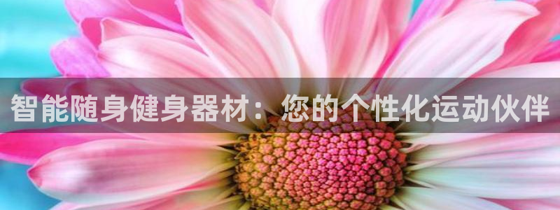 凯捷体育平台注册要钱吗：智能随身健身器材：您的个性化运动伙伴