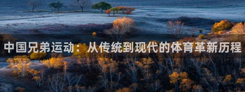 凯捷体育招商电话是多少：中国兄弟运动：从传统到现代的体育革新