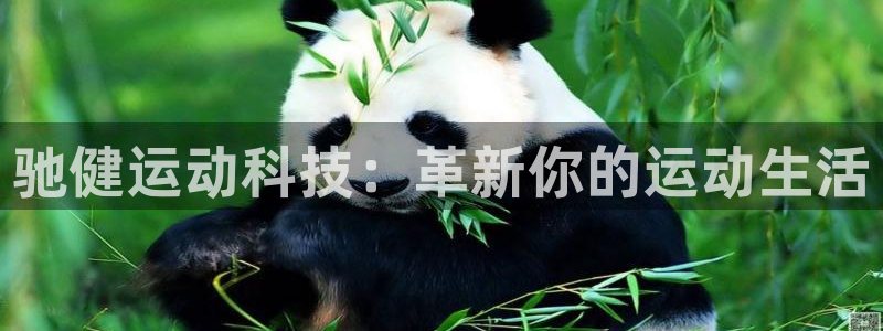 凯捷体育招商电话