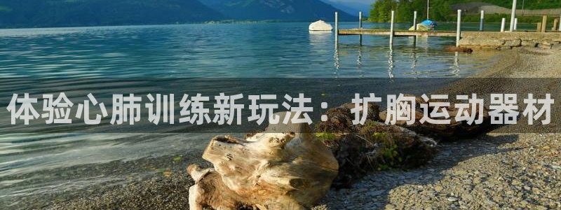 凯捷体育娱乐网站：体验心肺训练新玩法：扩胸运动器材