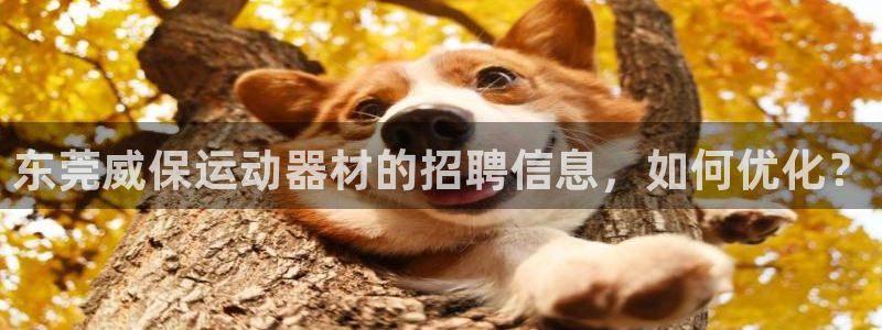 凯捷体育平台假的吗是真的吗