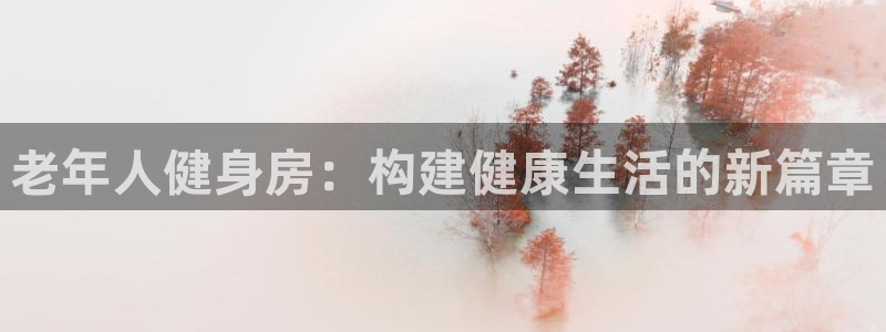 凯捷体育娱乐平台：老年人健身房：构建健康生活的新篇章