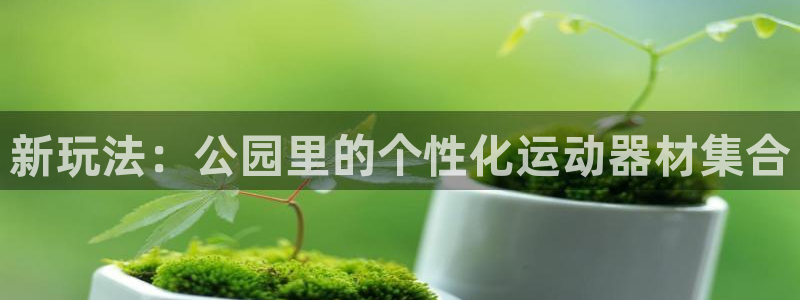 凯捷体育开户：新玩法：公园里的个性化运动器材集合