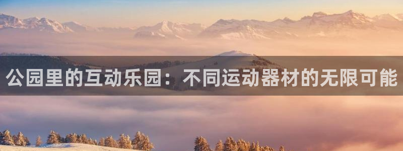 凯捷体育开户：公园里的互动乐园：不同运动器材的无限可