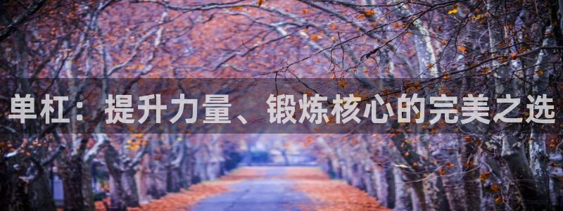 凯捷体育注册：单杠：提升力量、锻炼核心的完美之选